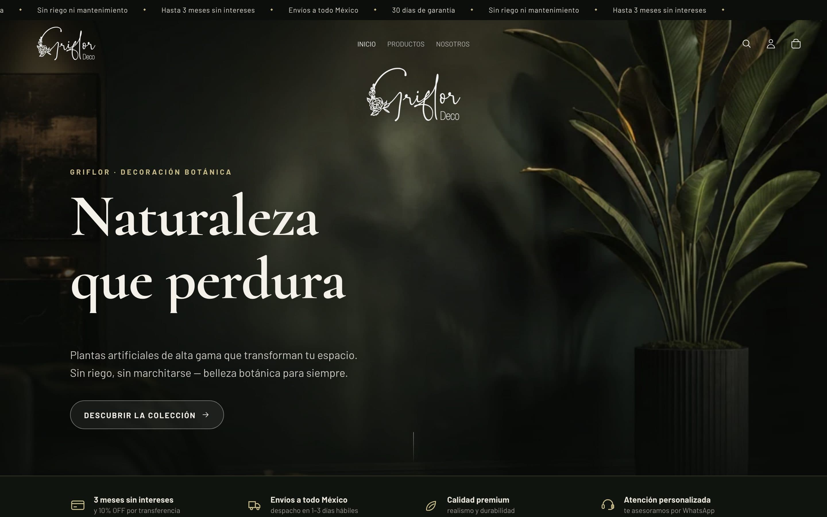 Home de la tienda de Griflor México, diseñada por Genera Impacto